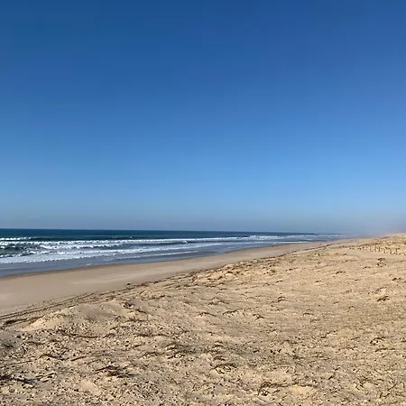 L Escale Oceane *